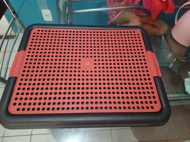 Tapete higiênico pet