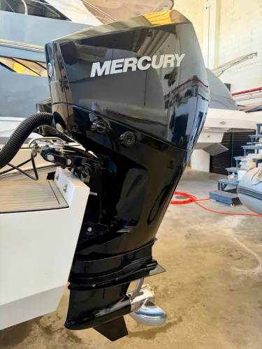 Parelha mercury 225 hp