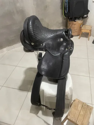 Sela australiana zera