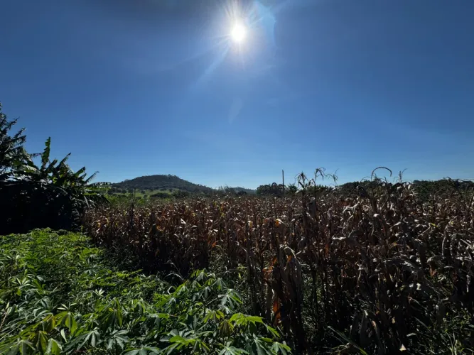 CHÁCARA A VENDA - 1.000m2 - TRINDADE GO