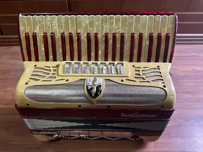Sanfona 120bxs Italiana Voce Soprani Castelfidardo 3°voz estojo original perfeita afinação