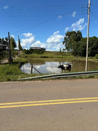 Área de Terra 5he São Gotardo de Vila Seca
