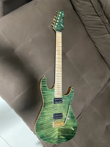 Guitarra Sj divad custom shop