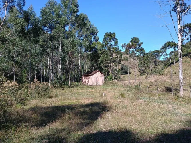 ANITÁPOLIS/SC - Terreno para investimento 75hectares