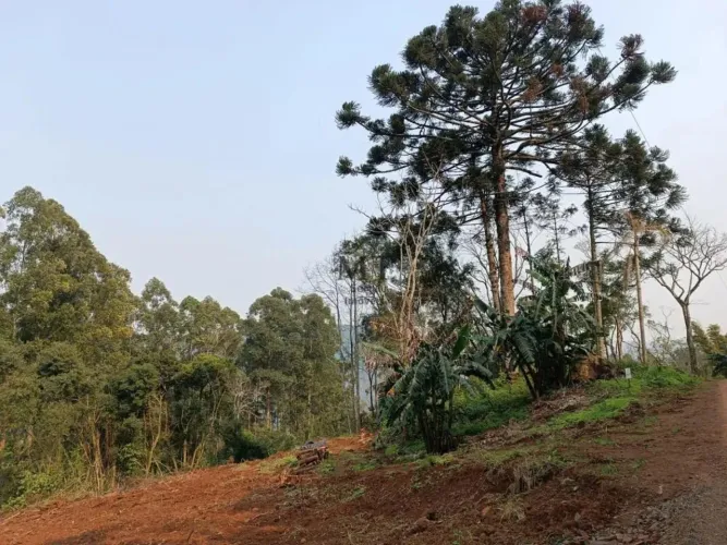 Área de terra a venda em Nova Petrópolis.RS Ref.:11