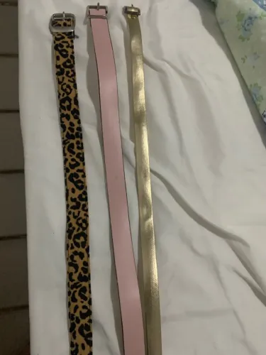 Cintos femininos estilosos: onça, rosa e dourado!