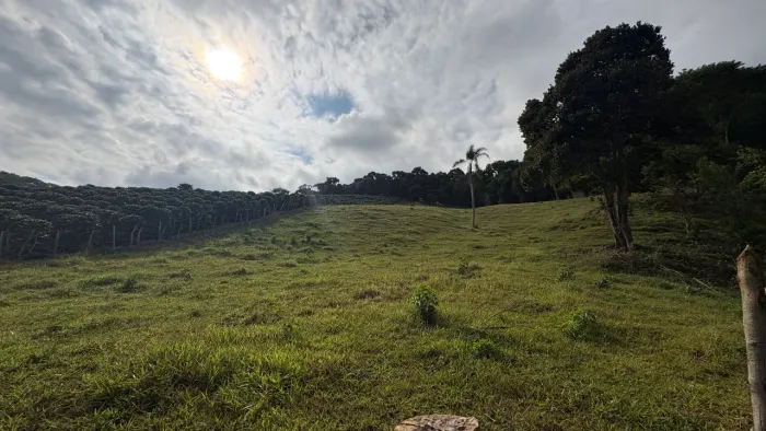 Vendo terreno em Coimbra-MG