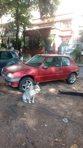 Peugeot 205 Xsi/ Junior 1.4 3P 1996