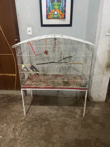 Gaiola grande