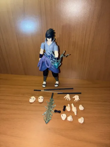 Sasuke Blokees champion class LEIA