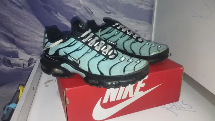 Air Max plus (tn)