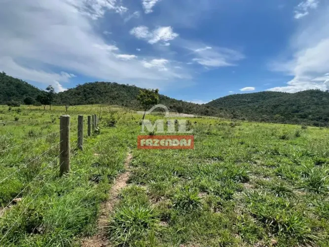 Fazenda 221 alqueires (1.069 hectares) Uruaçu - GO