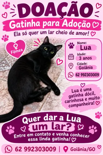 Doação 