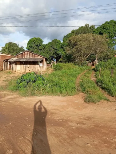 Lote 5x20