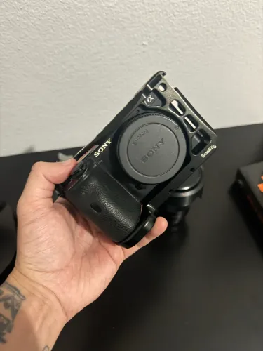 Sony a6600