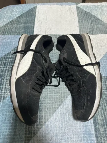 Puma clássico 43