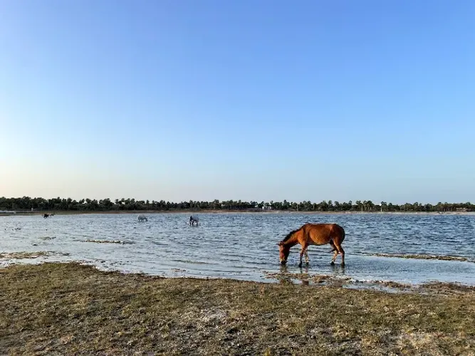 Terreno em loteamento - Barra Grande Piauí - 830m2