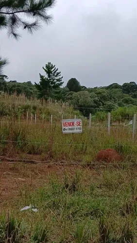Terreno 12x35 bairro borda do campo (aceito carro como parte de pagamento)