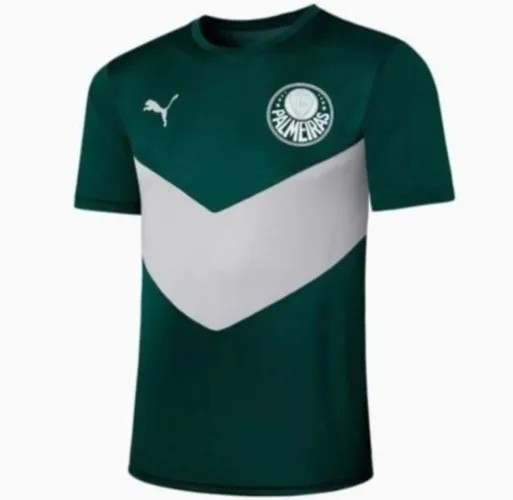 Camisa Palmeiras Puma treino