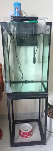 aquário aproximadamente 100 litros
