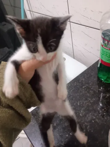 Doação 