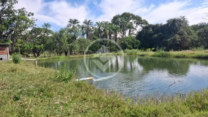 Fazenda com 31 alqueires e água abundante à venda a 70 km de Goiânia codigo: 354902