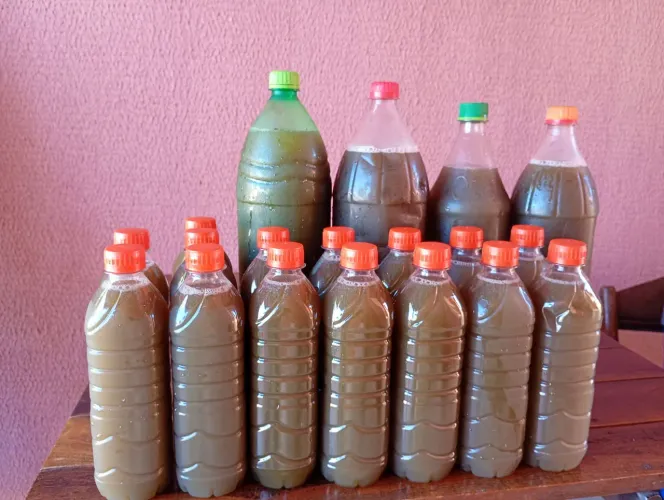 Garapa # caldo de cana 