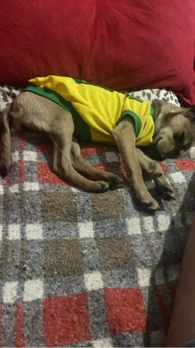 Doação