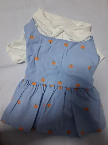 Vestido pet seminovo 