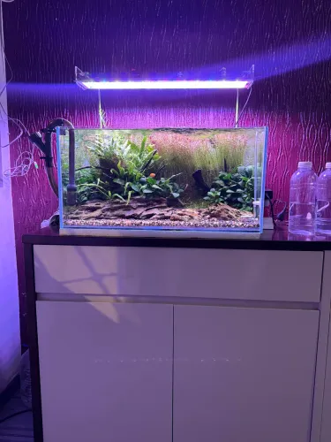Vendo aquário 60x40x30