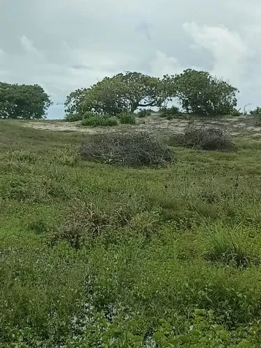 Terreno em Praia Paradisíaca