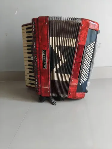 Acordeon Michael - acompanha case