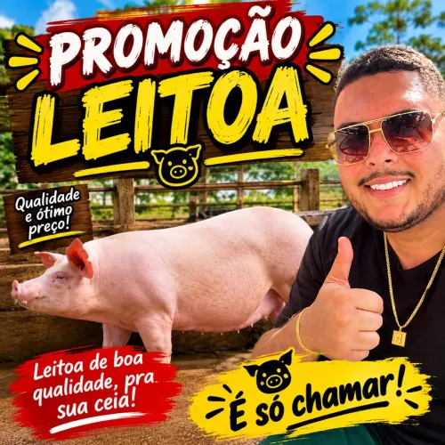 Promoção leitoa