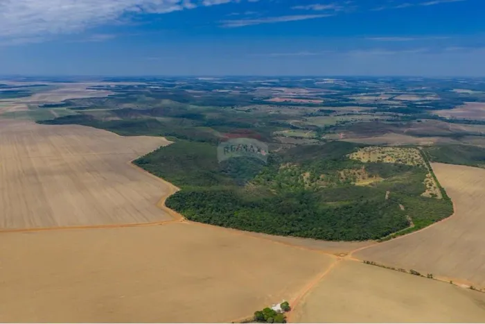 FAZENDA À VENDA OPORTUNIDADE NO PADEF (DF/GO)