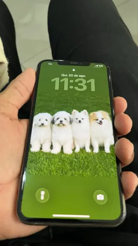 iPhone 11 pro max perfeito