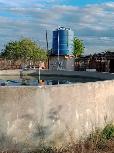 Chácara pronta e bem situada em condomínio fechado.