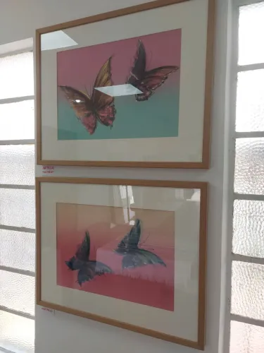 Quadros Borboletas Seriadas - Moldura Caixa Madeira e Paspatur Areia (54x69cm)