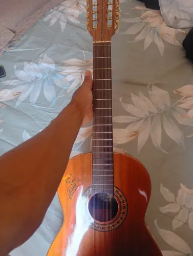 Viola Tião carreia