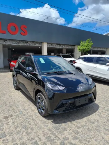 BYD Dolphin Mini GL 2027
