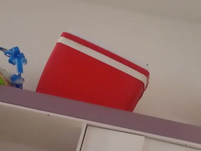 Cooler
