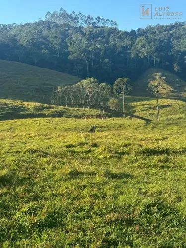 Chácara à venda - Área Rural de Antônio Carlos, Antônio Carlos/SC