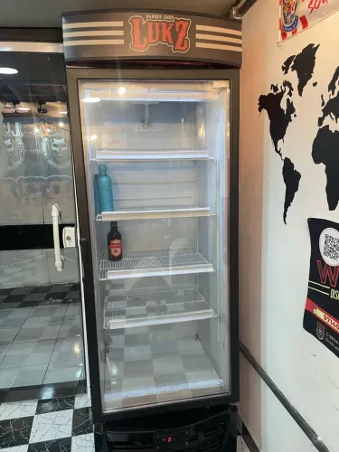 Freezer vertical