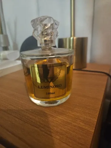 Luminoso Gv Designers