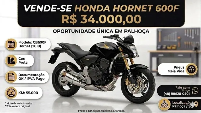Hornet 600f 2010