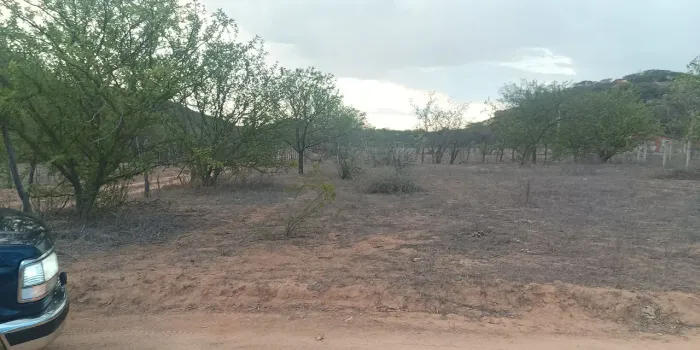 Terreno rural - Sítio Uri | Salgueiro-PE