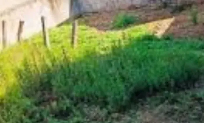 Vendo terreno ou troco aceito negociação