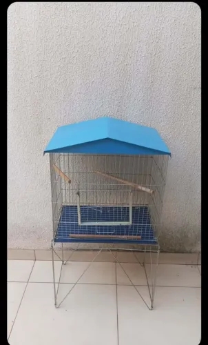 Gaiola pássaro com de chão