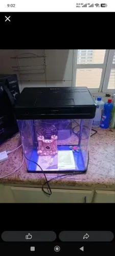 Vendo esse aquário boyu 20 litros bomba e luz e alguns enfeites vista 480,00