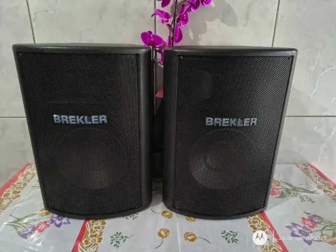 Caixas De Som De Monitores Palco Passivos Brekler (Usado)