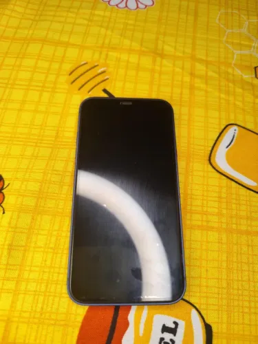 iPhone 11 na carcaça do 17 pro 